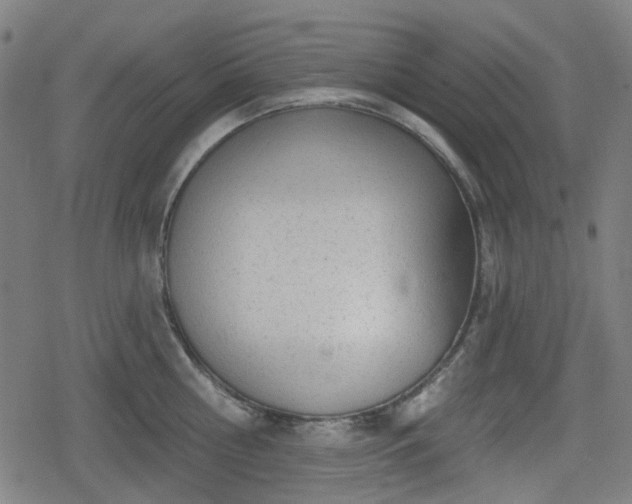 X0000078290810200611101107