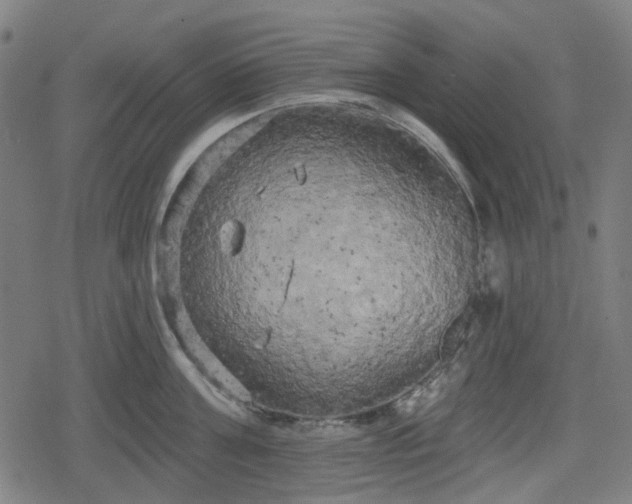 X0000078290811200611101107