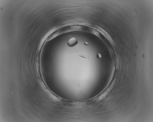 X0000078290812200611101107