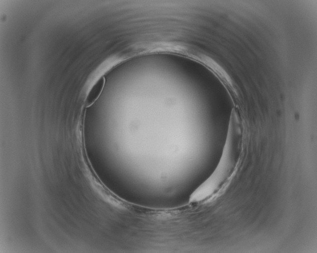 X0000078290814200611101107