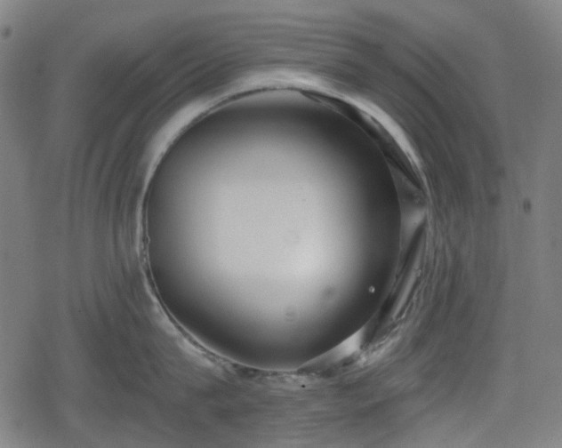 X0000078290815200611101107