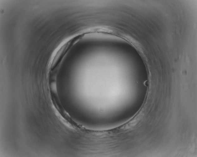 X0000078290816200611101107