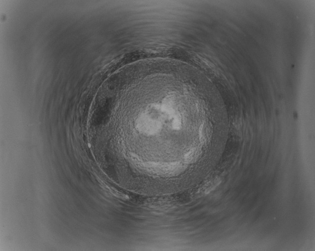 X0000078290817200611101106