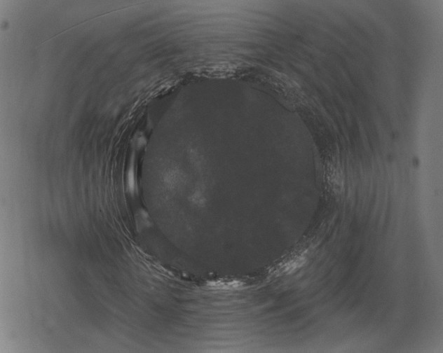 X0000078290818200611101106