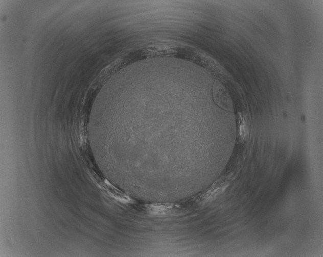 X0000078290819200611101106