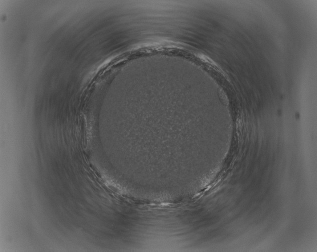 X0000078290822200611101106