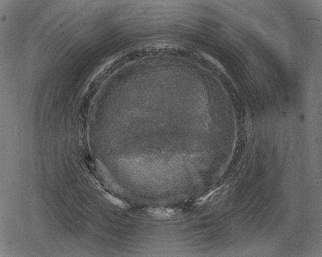 X0000078290823200611101106