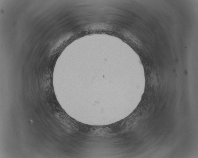 X0000078290824200611101106