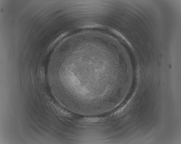 X0000078290825200611101106