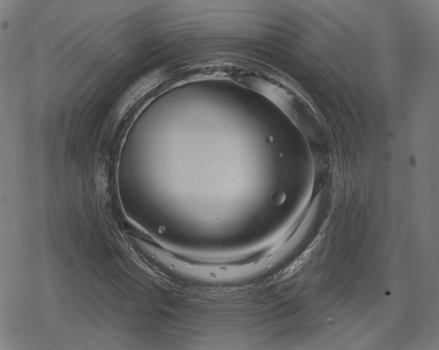 X0000078290826200611101106