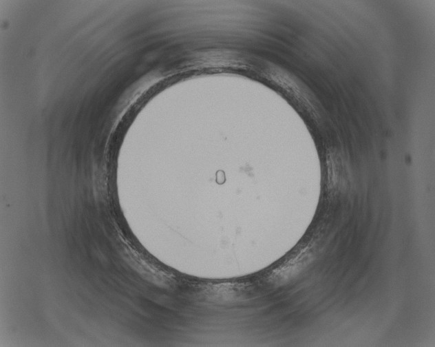 X0000078290828200611101106