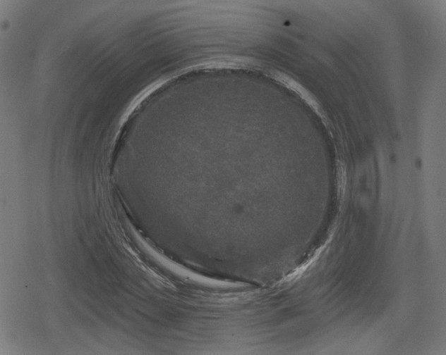 X0000078290829200611101106