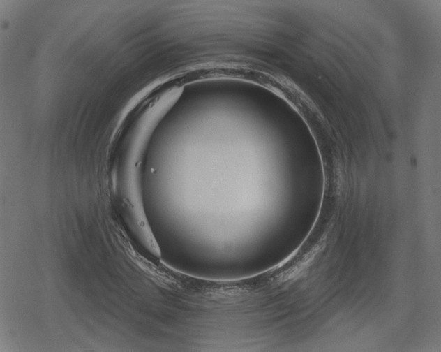 X0000078290830200611101106