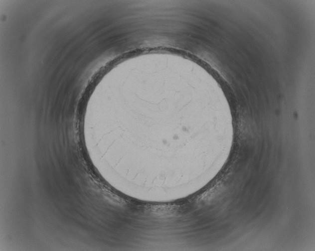 X0000078290832200611101106