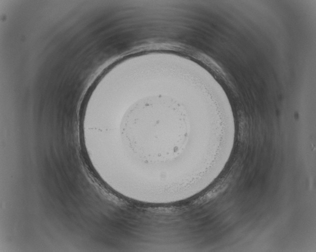 X0000078290836200611101106