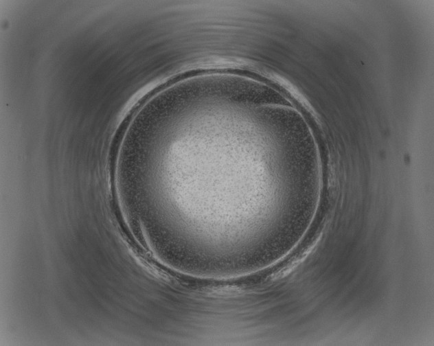 X0000078290837200611101106