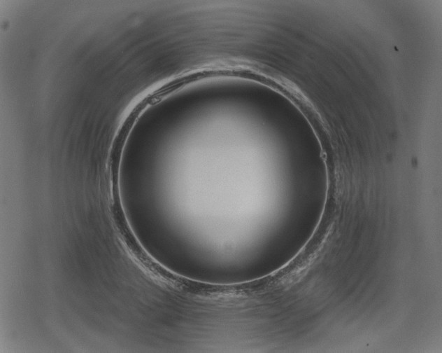 X0000078290838200611101106