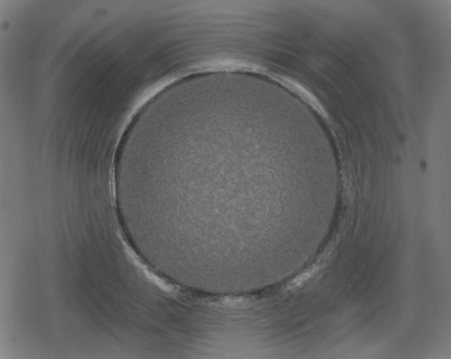 X0000078290839200611101106