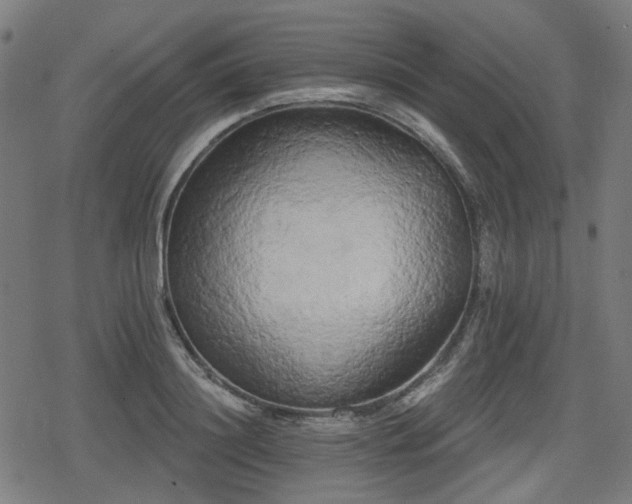 X0000078290844200611101106