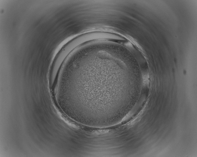 X0000078290846200611101106