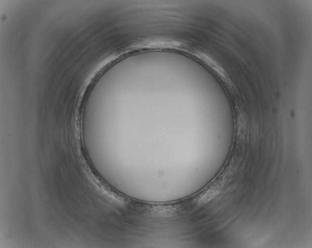 X0000078290848200611101106