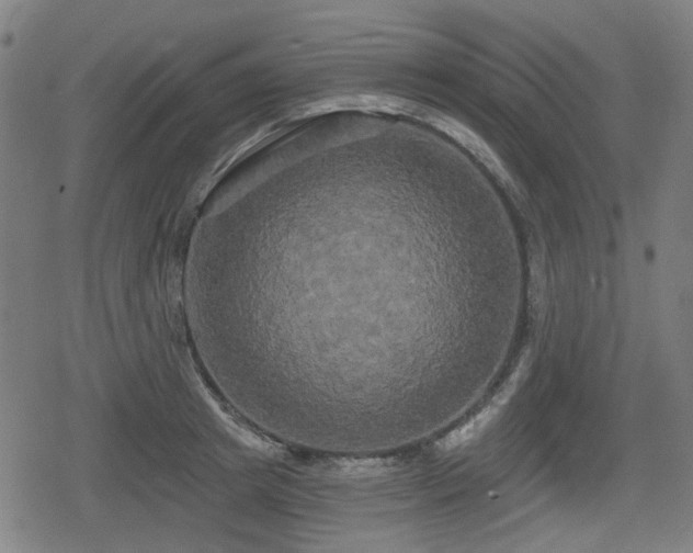 X0000078290849200611101106