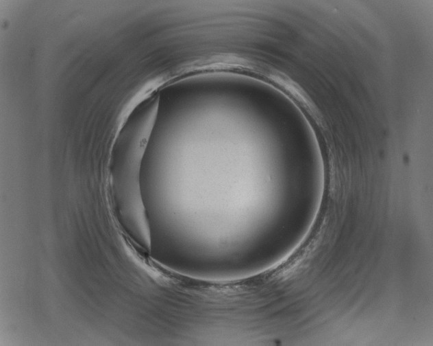 X0000078290850200611101106