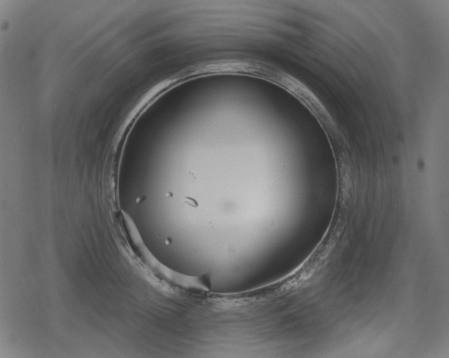 X0000078290852200611101106