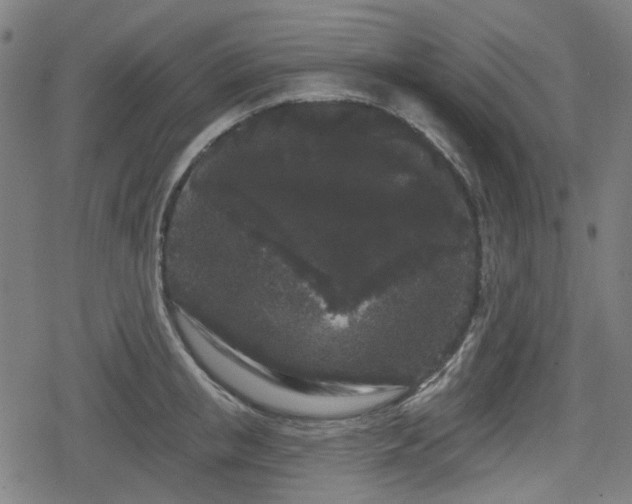 X0000078290853200611101106