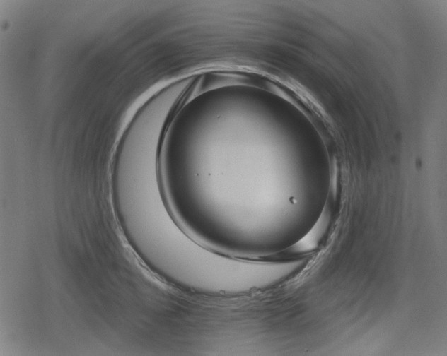 X0000078290854200611101106