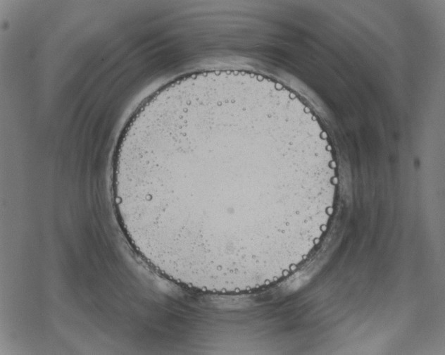 X0000078290856200611101106