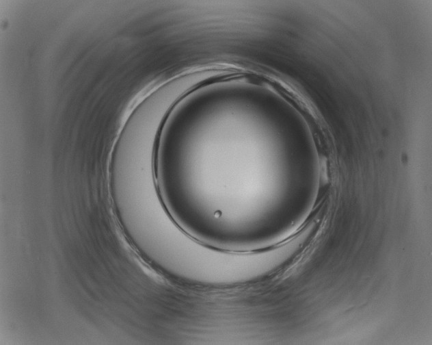 X0000078290858200611101106