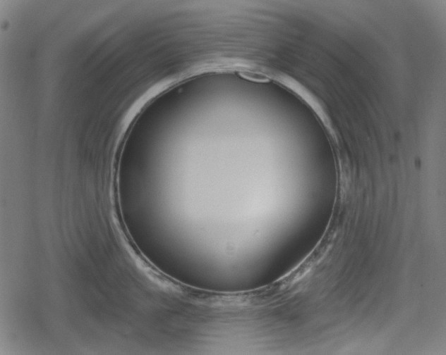 X0000078290861200611101106