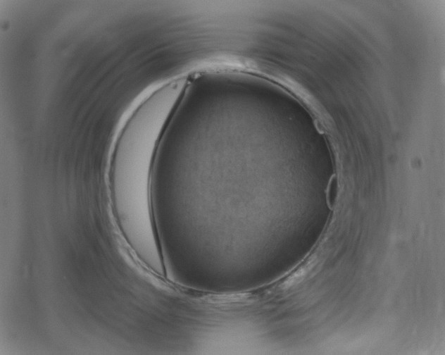 X0000078290864200611101107