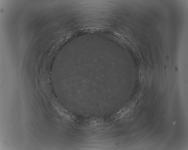 X0000078290865200611101106