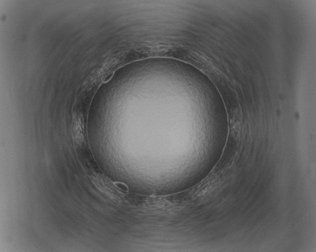 X0000078290866200611101106