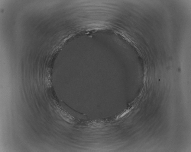 X0000078290868200611101106