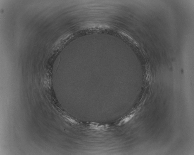 X0000078290869200611101106