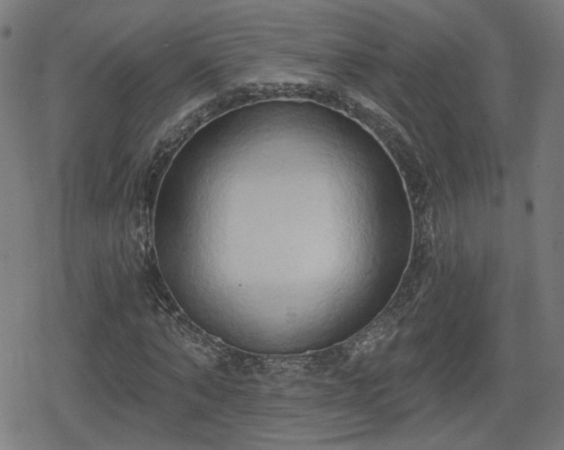 X0000078290870200611101106