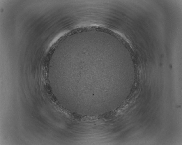 X0000078290871200611101106