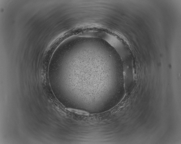 X0000078290872200611101106