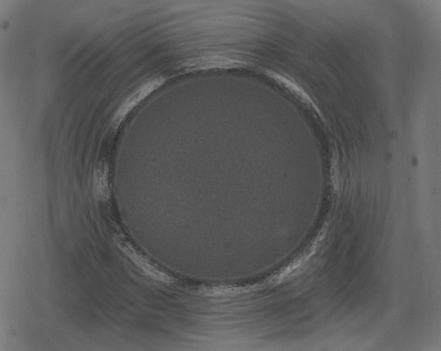 X0000078290873200611101106