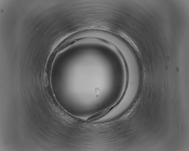 X0000078290876200611101106