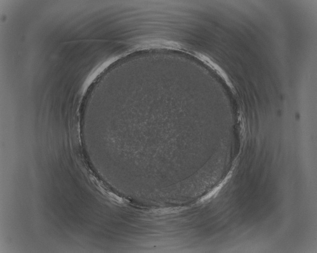 X0000078290877200611101106