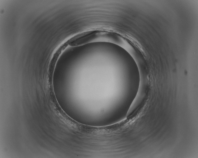 X0000078290880200611101105