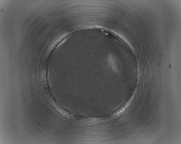 X0000078290881200611101105