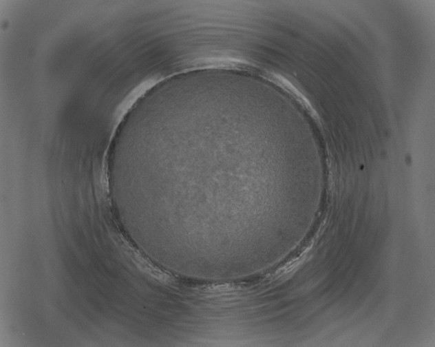 X0000078290883200611101105