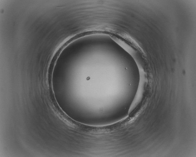 X0000078290884200611101105