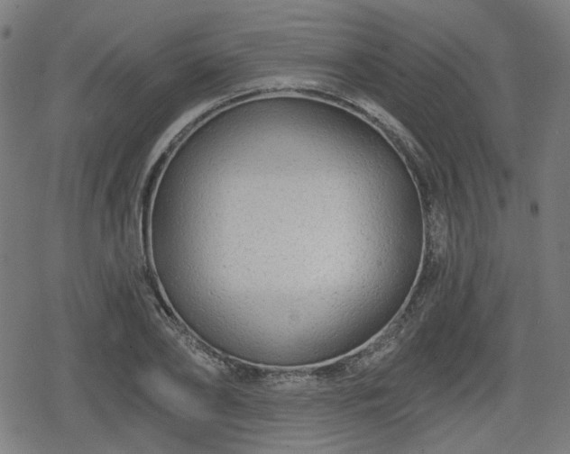 X0000078290886200611101105