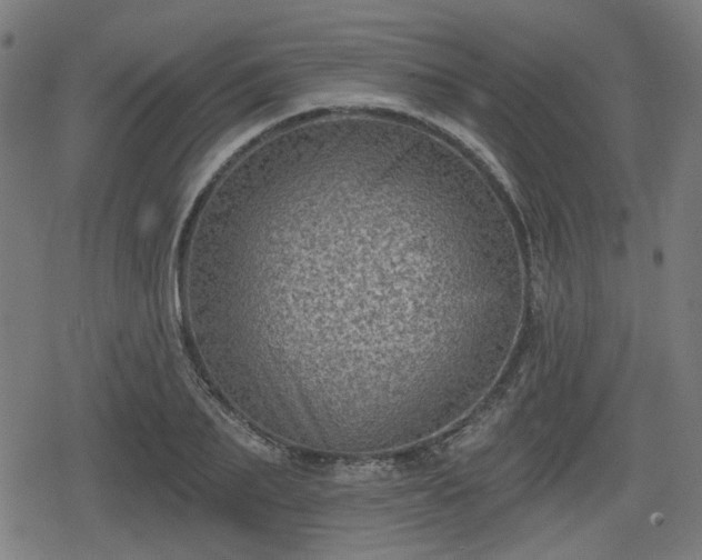 X0000078290887200611101105